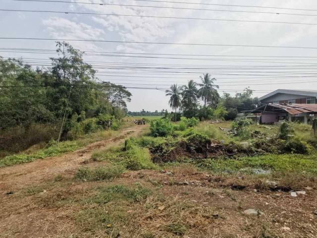 ที่ดินติดถนนใหญ่ เส้นสุพรรณบุรี-ชัยนาท 4-3-64 ไร่ เหมาะทำธุรกิจ ค้าขาย  ร้านค้า โกดัง รีสอร์ท อื่นๆ