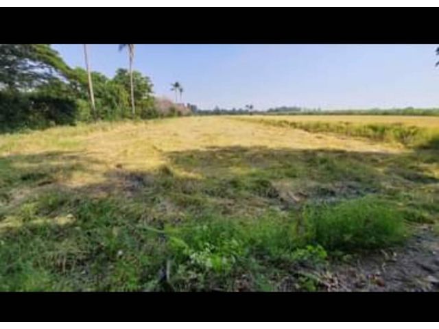 ที่ดินติดถนนใหญ่ เส้นสุพรรณบุรี-ชัยนาท 4-3-64 ไร่ เหมาะทำธุรกิจ ค้าขาย  ร้านค้า โกดัง รีสอร์ท อื่นๆ