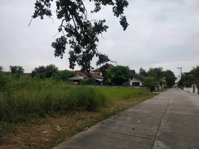 ขายที่ดินหลังขนส่งแม่เหียะเข้าทางสำนักงานขนส่งพร้อมโอน