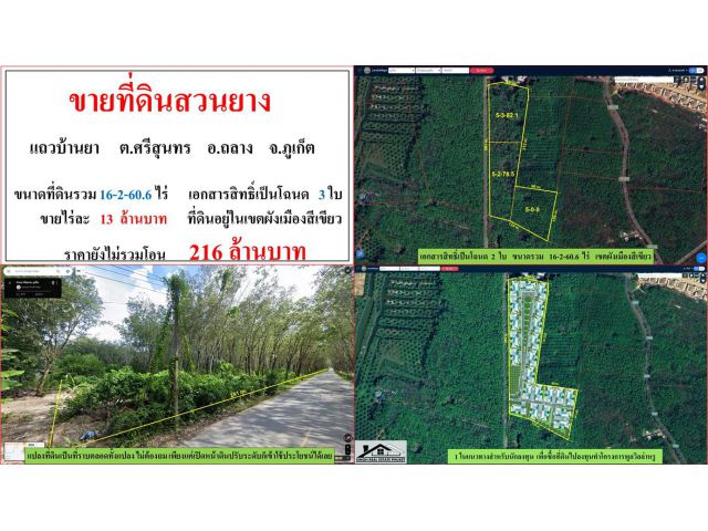 ขายที่ดินสวนยาง ขนาด 16-2-60.6 ไร่  แถวบ้านยา  ต.ศรีสุนทร  อ.ถลาง  ภูเก็ต