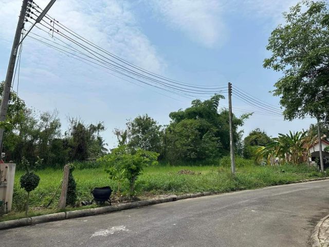ขายที่ดินในโครงการใกล้แยกแม่เหียะหน้ากว้างพร้อมโอน