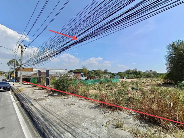 ขายที่ดิน ติดถ.เส้นโรงเรียนอัสสัมชัญศรีราชา (ไร่กล้วย) เนื้อที่ 7ไร่-1งาน-59ตรว. (หน้ากว้าง 59เมตร ลึก212เมตร) ไร่ละ 11.5 ล.