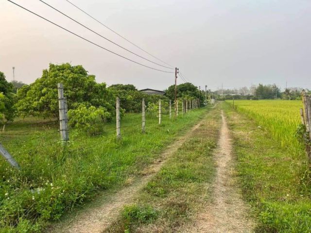 ขายที่ดินตำบลน้ำแพร่หางดงวิวทุ่งนาวิวสวยพร้อมโอน