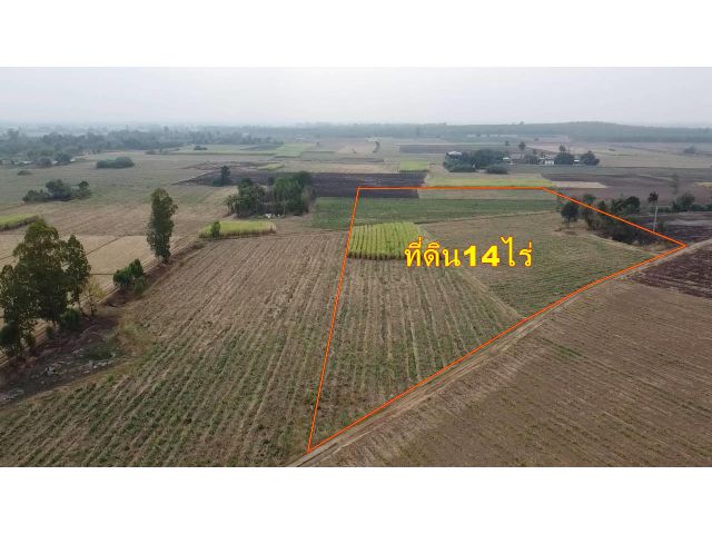 ที่ดินราคาถูก14ไร่ ใกล้ตลาดจอมบึง5นาทีเหมาะทำการเกษตร มีบ่อน้ำในพ้นที่ ราคาเบาๆไร่ละ150,000บาท