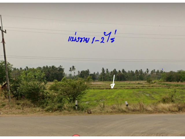 ขายที่ดินโฉนด(แบ่งขาย)1-2 ไร่ ต.ป่าเลา อ.เมือง จ.เพชรบูรณ์