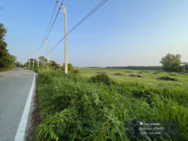 ขายที่ดิน 123 ไร่ พนัสนิคม ชลบุรี โรงงาน จัดสรร