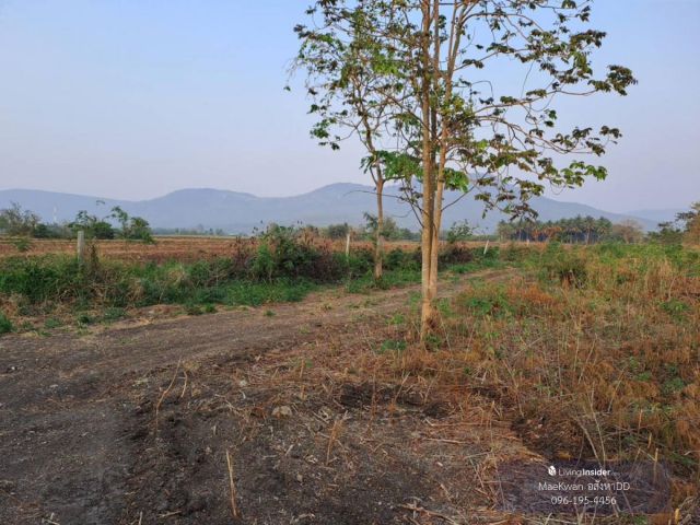 ที่ดินจัดสรร 24 ไร่  เขาใหญ่ นครราชสีมา