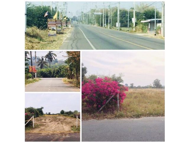 ++ขายที่ดินเสมอถนน 1 ไร่ 2 งาน 27.9 ตรว.ติดถนนลาดยาง/ไฟฟ้า/ประปา/ล้อมรั้ว ใกล้ตลาด /รพ.ยุพราช
