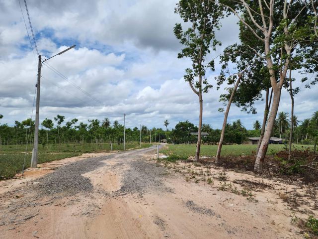 L1012 ขายที่ดินทำเลดี ใกล้นิคมอมตะ เนื้อที่ 5 ไร่ นิคมพัฒนา ระยอง