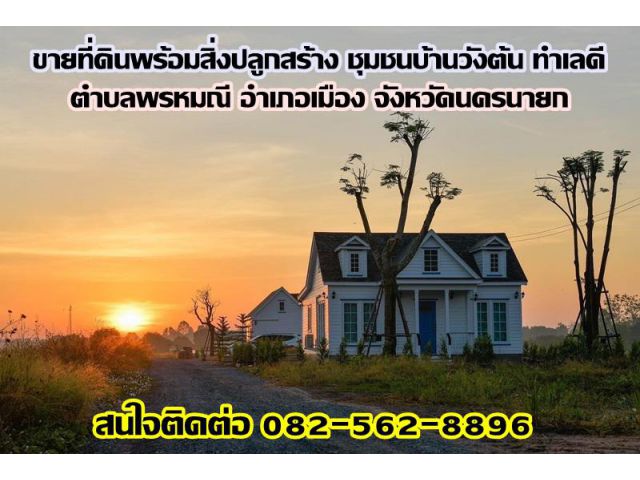 ขายที่ดินพร้อมสิ่งปลูกสร้าง ชุมชนบ้านวังต้น ทำเลดี ใกล้แยก จปร. ถนนสุวรรณศร ตำบลพรหมณี อำเภอเมือง จังหวัดนครนายก