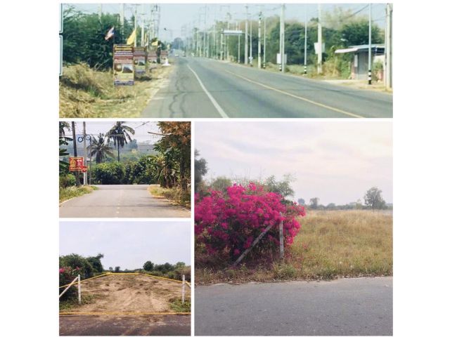 ++ขายที่ดินเสมอถนน 1ไร่ 2 งานกว่าติดถนนลาดยาง มีไฟฟ้า/ประปา/ล้อมรั้วแล้ว ใกล้ตลาด /รพ.ยุพราช