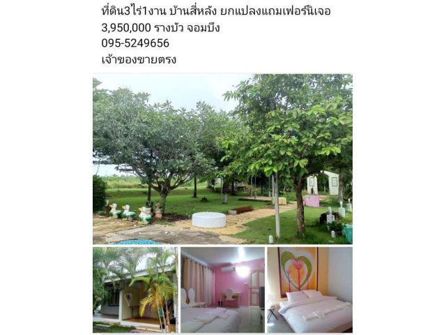 บ้านสี่หลัง+ที่ดิน