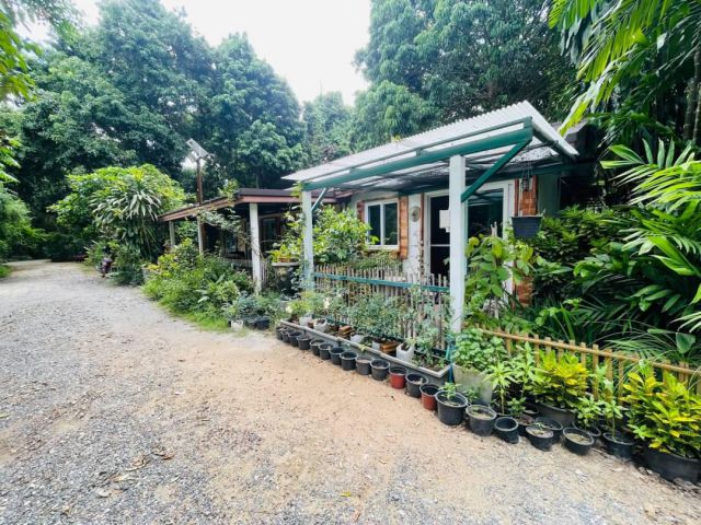 บ้านสวนติดแม่น้ำปิง ท่ามกลางธรรมขาติ สายน้ำ ต้นไม้ เสียงนก และแมลง พร้อมด้วยต้นไม้ ดอกไม้ นานาพันธุ์ ความสงบ ร่มรื่น เป็