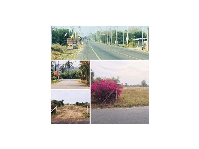 ++ขายที่ดินเสมอถนน 1 ไร่ 2 งานกว่า ติดถนนลาดยาง มีไฟฟ้า ประปา ใกล้ตลาด/โรงพยาบาล/ม ราชภัฏ