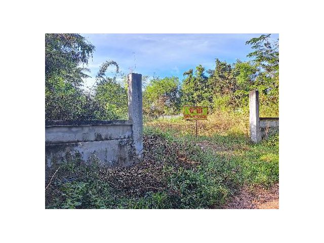ขายที่ดินในเขตเมืองอุบล ใกล้ศูนย์บริการเบนซ์ขามใหญ่ จ. อุบลฯ