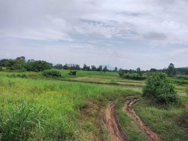 ขายที่ดินโฉนดสวนผสมใกล้เชียงคานเหมาะกับเกษตรเชิงท่องเที่ยว ที่ราบและทุ่งนาเข้าออกสะดวก20ไร่ 3 งานไร่ละแสนต้นๆ