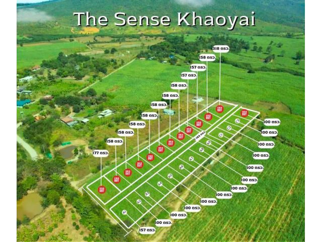 ที่ดิน The Sense เขาใหญ่