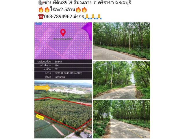 ขายที่ดิน39ไร่ สีม่วงลาย อ.ศรีราชา จ.ชลบุรี ไร่ละ2.5ล้าน 063-7894962 มังกร