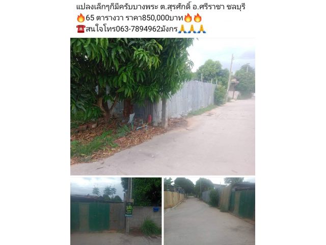 แปลงเล็กๆก็มีครับบางพระ ต.สุรศักดิ์ อ.ศรีราชา ชลบุรี 65 ตารางวา ราคา850,000บาท ️สนใจโทร063-7894962มังกร
