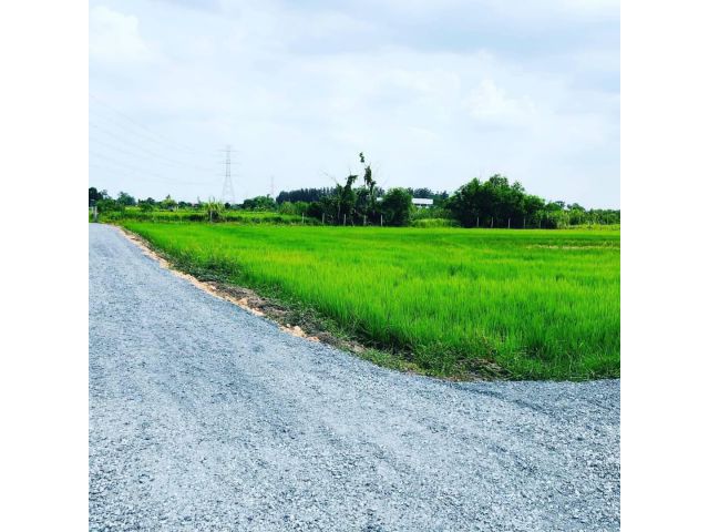 ขายที่ดินหนองจอก ติดกับบ้านทรงนอร์ดิก 3 ไร่ 8 ตรว