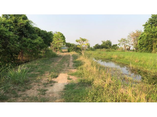 ขายต่ำกว่าราคาประเมินพิเศษเฉพาะเดือนนี้เท่านั้นที่ดินติดถนนคอนกรีต 52 ไร่ อ.เก้าเลี้ยว จ.นครสวรรค์ 3.5 ล้าน ทำเลดีสุดๆ