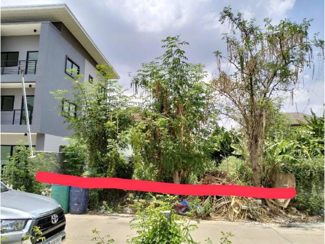 ขายที่ดิน 46 ต.ร.วา รังสิตคลอง 1 (Sale of land 46 sq. wah, Rangsit Klong 1)