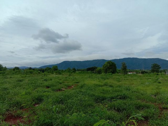 ที่ดินโฉนด วิวเขาใหญ่ 5 ไร่ เขตหมูสี
