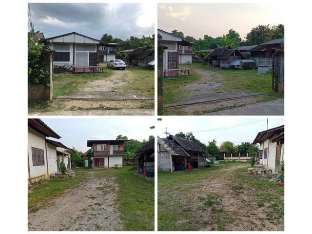 ขายที่ดินพร้อมบ้าน ทำเลทอง อ.หางดง จ.เชียงใหม่ ตรงเส้นหลัก ใกล้ไนท์ซาฟารีและราชพฤกษ์ (พืชสวนโลก) โทร 0956530192