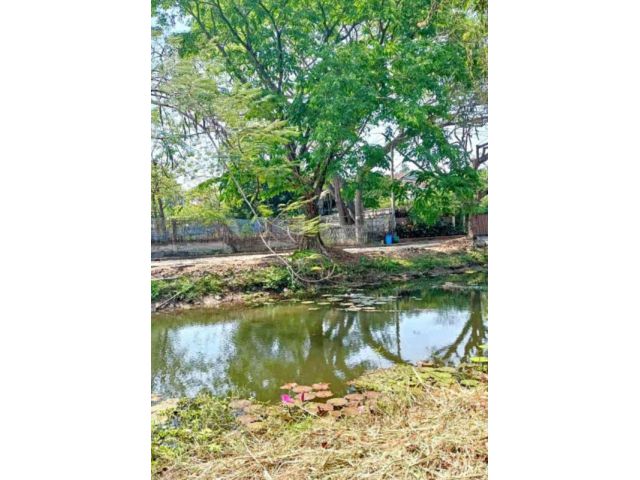 ขายที่ดินในหมู่บ้านเชียงใหม่เลคแลนด์สุเทพพร้อมโอน