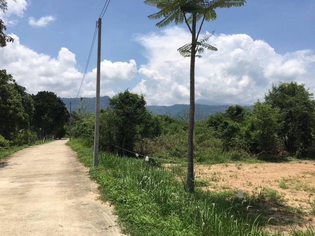 L1214 ขายที่ดินสวยบรรยากาศดี เนื้อที่ 266 ตรว ใกล้น้ำตกวังตะไคร้ เมืองนครนายก