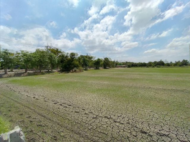 ขายที่ดิน อ.ไทรน้อย จ.นนทบุรี 4-1-16ไร่ 12.5ล T0966458046