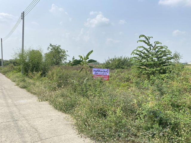 ขาย ที่ดินเปล่า 1 ไร่ ลาดหลุมแก้ว ทำโรงงาน