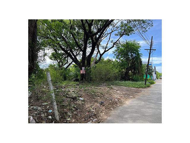 ขายที่ดิน บางกะปิ นวมินทร์ 24 หมู่บ้านศรีนครพัฒนา 202 ตรว. เหมาะสร้างบ้านเดี่ยว สำนักงาน ออฟฟิศ