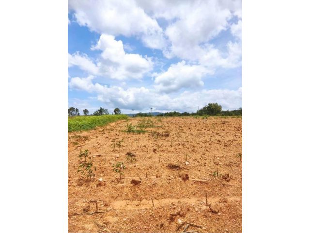 R624-066ที่ดินเขาใหญ่วิวเนินเขาสวยมาก(ที่ดินเปล่าโฉนด) TOSCANA ที่ดินเขาใหญ่ที่ตรงนี้ 47 ไร่  TOSCANA ก่อนถึงอ่างเก็บน้ำสันกำแพง  สามารถทำรีสอร์ทได้แปล