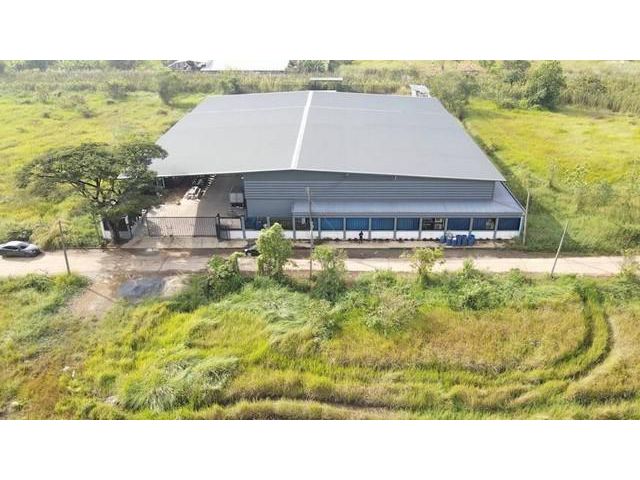 Sale ขาย โรงงาน โกดัง พื้นที่สีชมพู พื้นที่ 2 ไร่กว่า ใกล้ตลาดไท คลองหลวง ปทุมธานี