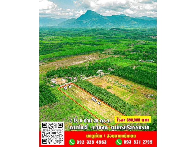 ขาย ที่ดิน 7 ไร่ 0 งาน 26 ตร.ว. โฉนดครุฑแดง นส4จ ไร่ละ 390,000 บาท ต่อรองได้ พิกัด ต.นาโพธิ์ อ.ทุ่งสง จ.นครศรีธรรมราช 7 ไร่ 0 งาน 26 ตร.วา