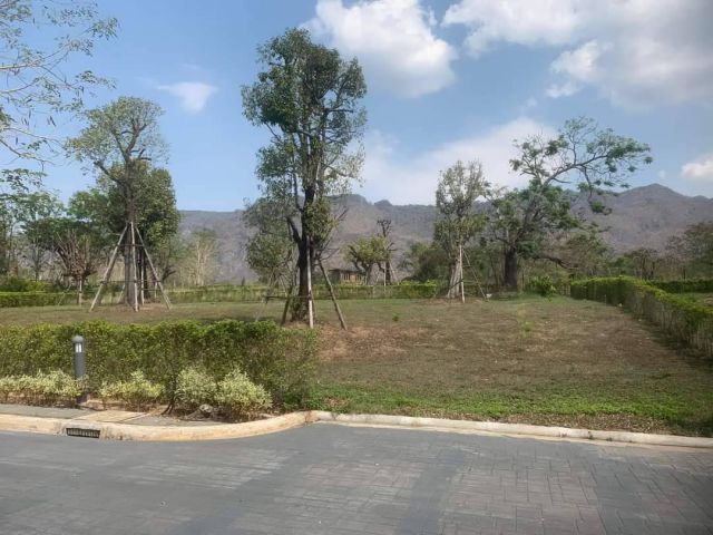 ด่วน ขายที่ดินเขาใหญ่ โครงการภิรมณ์ Pirom Khaoyai ที่ดิน 479 ตร.ว กุดคล้า ผ่านศึก พญาเย็น ปากช่อง วิวเขาล้อมรอบ ใกล้ พีบ
