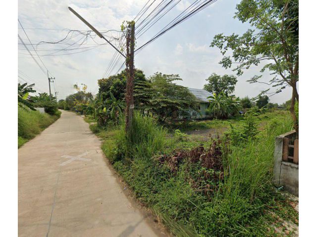 ขายที่ดินแปลงยาว 199 ตรว. ติดถนนคอนกรีต ถมแล้ว ใกล้ถ.สัตหีบ-พนมสารคาม331 - 2.8 กม. จ.ฉะเชิงเทรา
