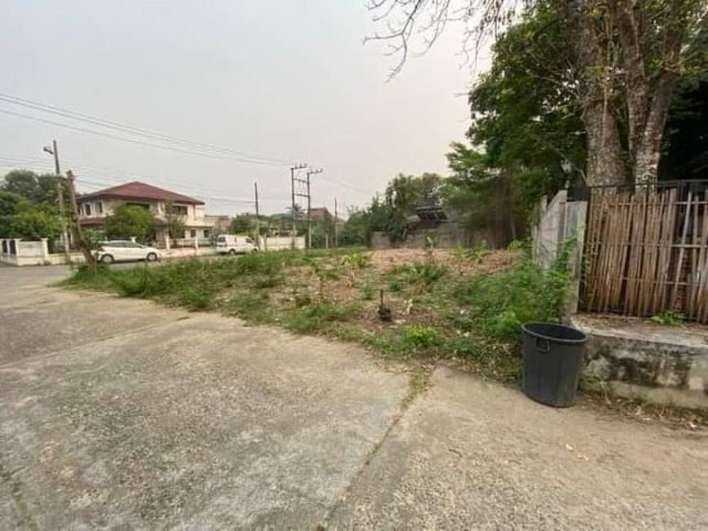 ขายที่ดินตำบลช้างเผือกแปลงมุมติดถนนสองด้านพร้อมโอน