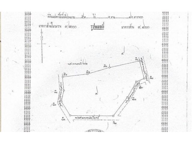 R624-035ขายที่ดินผังสีเหลือง53-0-95.4 ไร่ (โฉนด)หน้ากว้าง 95 เมตร ลึก 421 เมตร ราคาไร่ละ : 3,000,000 บาท มีโรงงานสร้างใกล้ที่ 4 โรง  เหม