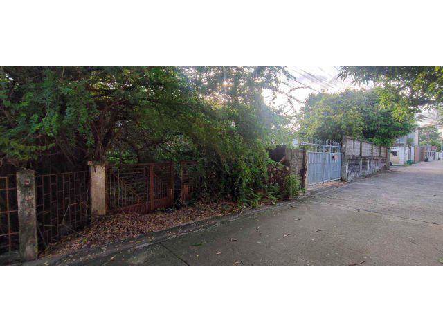 ขายที่ดิน หมู่บ้านมิตรภาพ (อ่อนนุช46) **เหมาะ สร้างบ้านเพื่ออยู่อาศัย ** ต้นซอย (N.1019)
