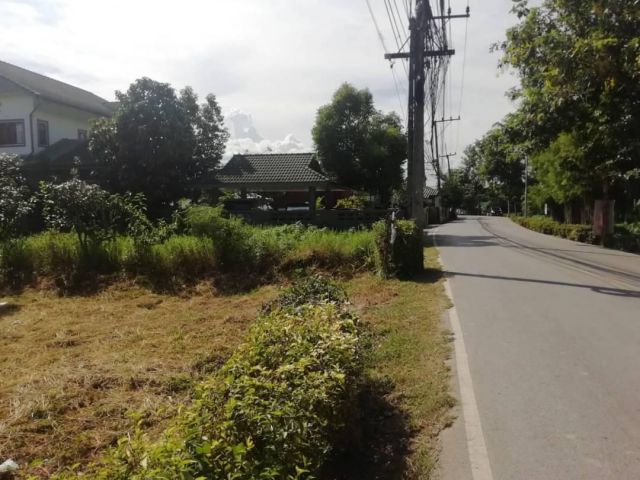 ขายที่ดินทำเลดีค้าขายได้แถวสันทรายหนองจ๊อมพร้อมโอน