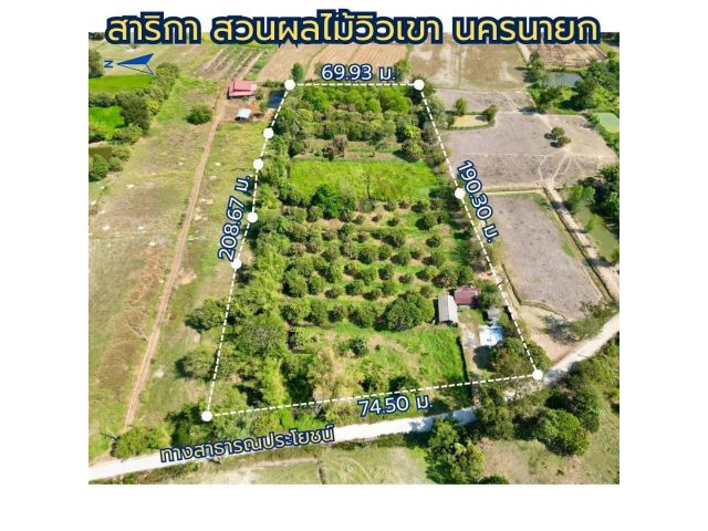 ที่ดินสวนผลไม้ วิวเขา สาริกา