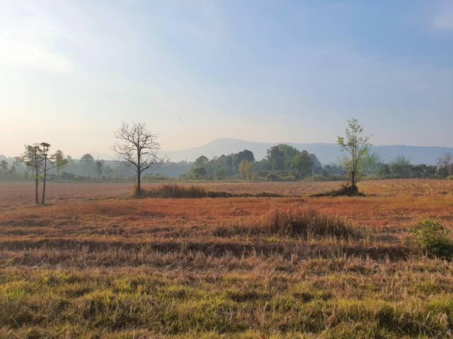 ที่สวยทำเลดีเข้าออกสะดวกหลายทางโฉนด 6ไร่ใกล้ชาโต้เดอเลย วิวเขาเหมาะกับสวนผลไม้ บ้านพักตากอากาศ