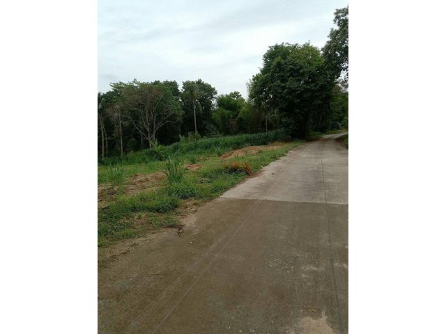 ด่วนที่ดินเขาตะแบกใกล้สะพานกระจก 13-2-08ไร่ เหมา 20ล้าน ต.หนองขาม อ.ศรีราชา จ.ชลบุรี - ที่ดินหน้ากว้างติดถนน 46 เมตร
