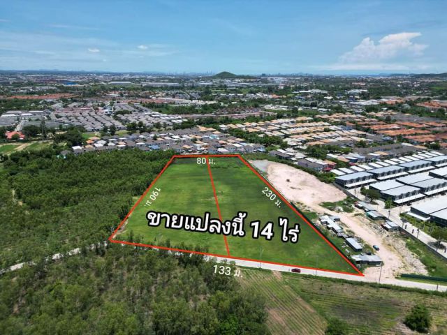 ขายที่ดิน 14 ไร่ ชากค้อ-หนองขาม