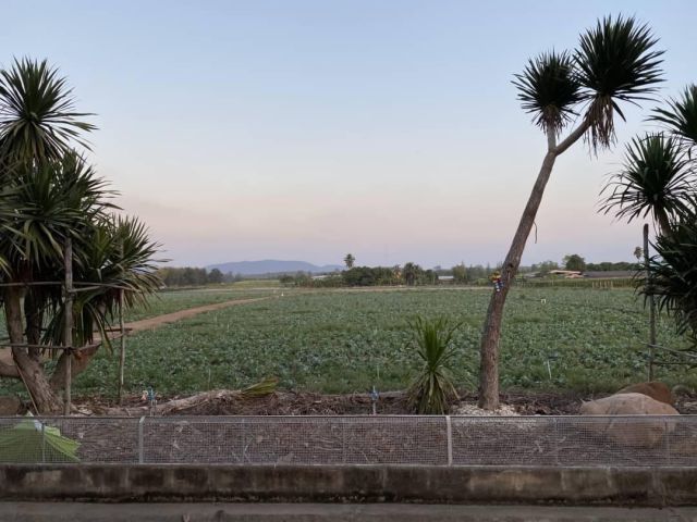 ขายที่ดิน น.ส.3ก. 27 ไร่ 2 งาน 43 ตรว. อ.จอมบึง วิวภูเขา