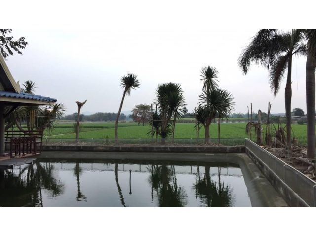 ขายที่ดิน น.ส.3ก. 27 ไร่ 2 งาน 43 ตรว. อ.จอมบึง วิวภูเขา