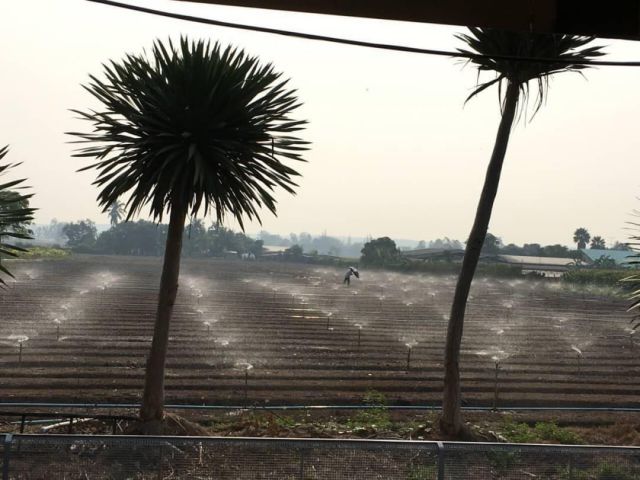 ขายที่ดิน น.ส.3ก. 27 ไร่ 2 งาน 43 ตรว. อ.จอมบึง วิวภูเขา