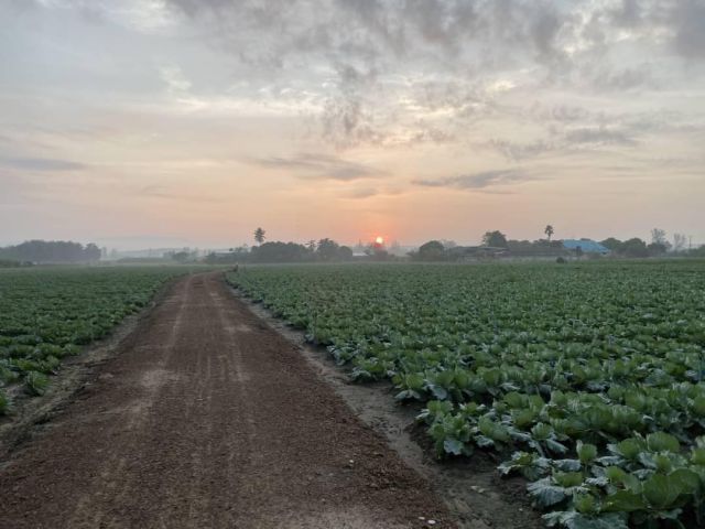 ขายที่ดิน น.ส.3ก. 27 ไร่ 2 งาน 43 ตรว. อ.จอมบึง วิวภูเขา